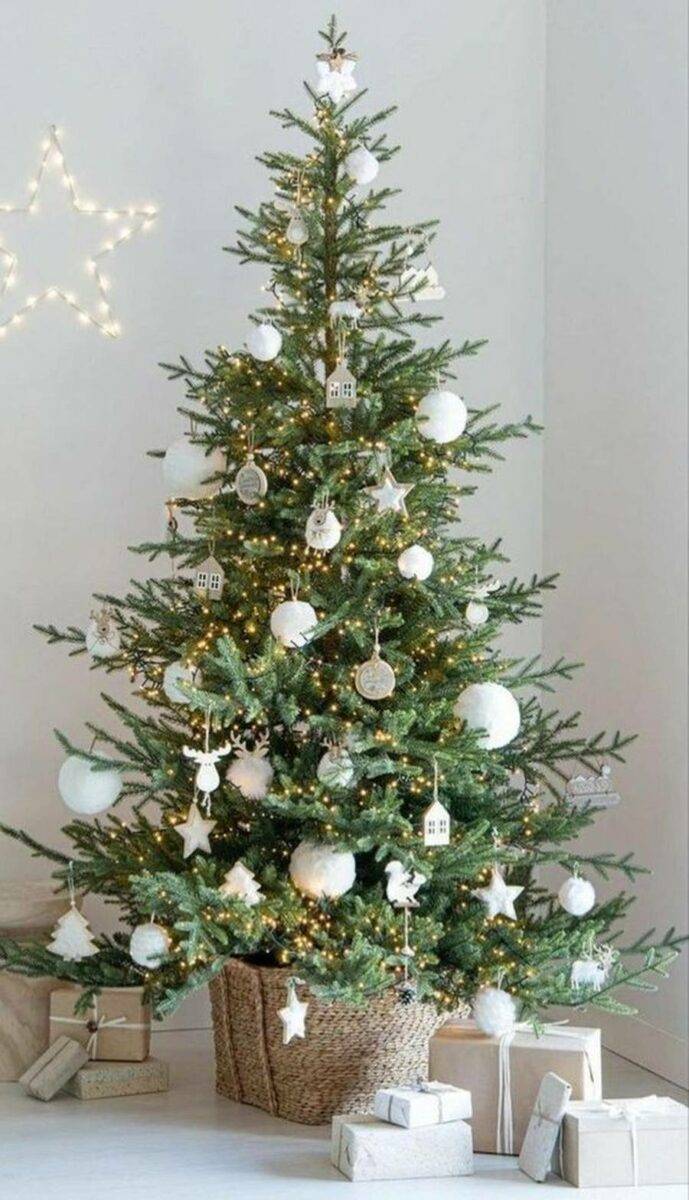 قیمت درخت کریسمس بزرگ