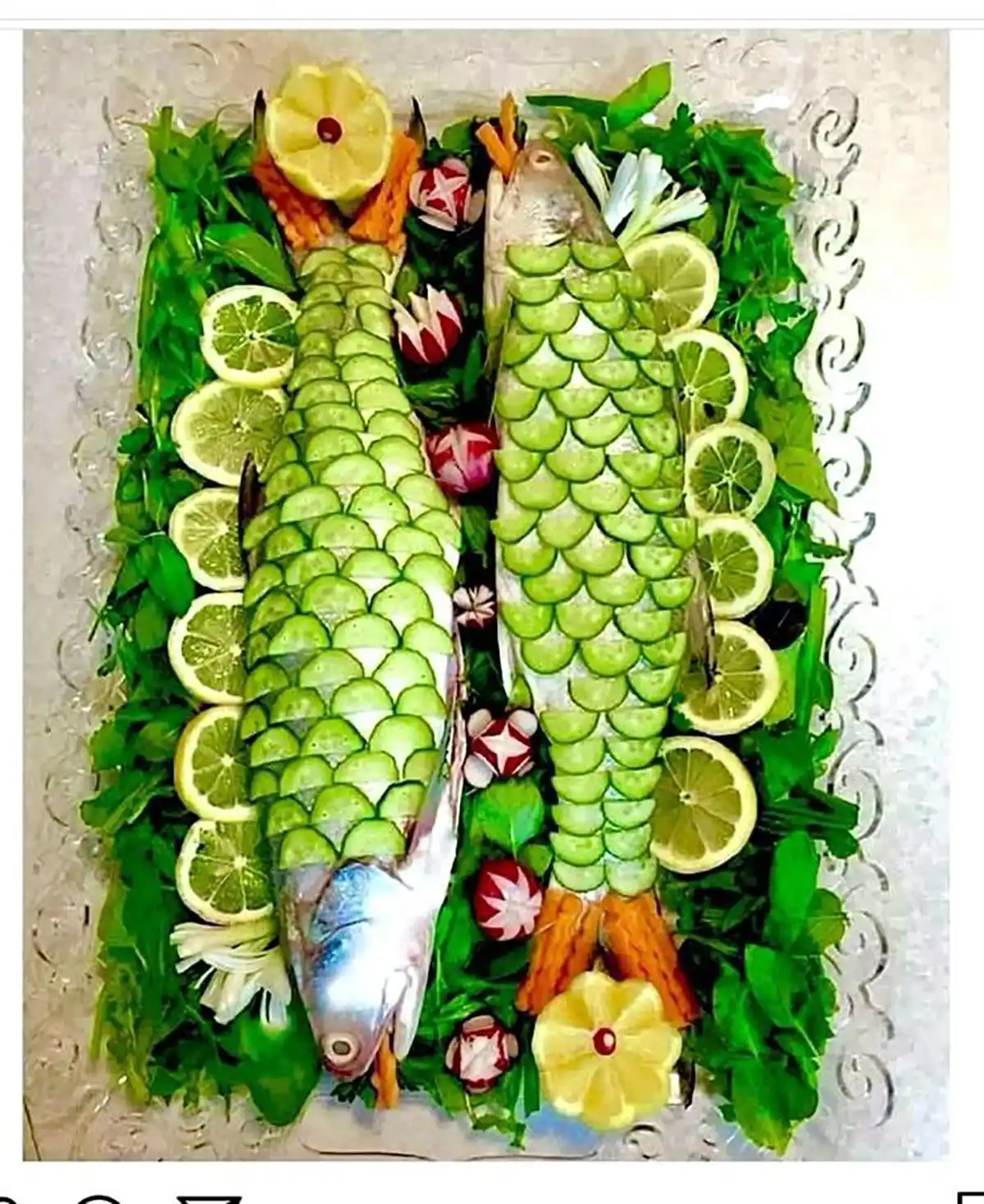 مدل تزیین ماهی 
