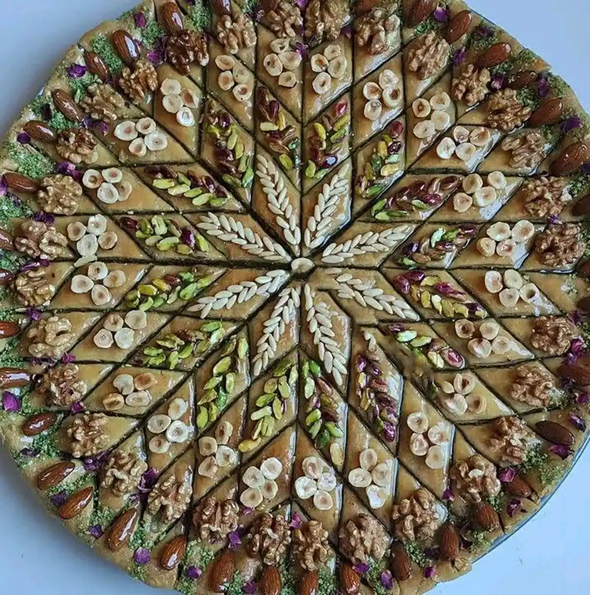 Feedback
اسم انواع شیرینی خشک با عکس
شیرینی ساده و سریع
طرز تهیه شیرینی خشک
طرز تهیه شیرینی بهشتی
اسم انواع شیرینی خارجی
