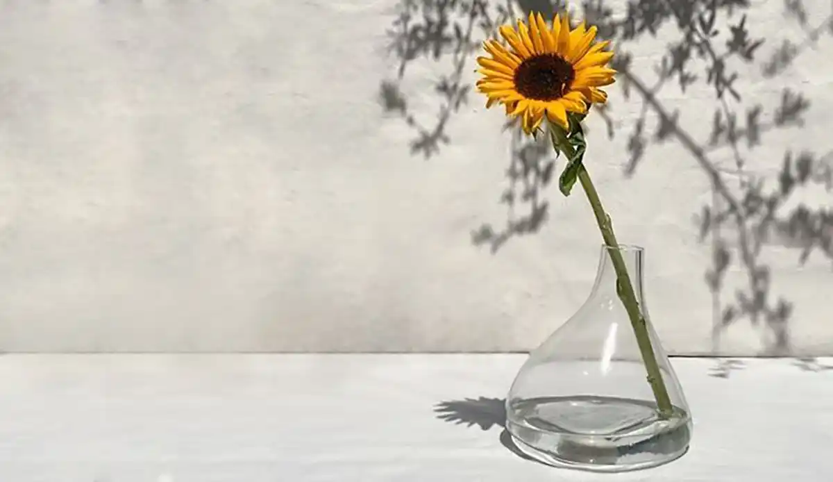 مرکز فروش گلدان شیشه ای در تهران
گلدان شیشه ای رومیزی دیجی کالا
گلدان شیشه ای دیجی کالا
گلدان شیشه ای جدید
خرید گلدان شیشه ای ارزان
گلدان شیشه ای استوانه ای دیجی کالا
