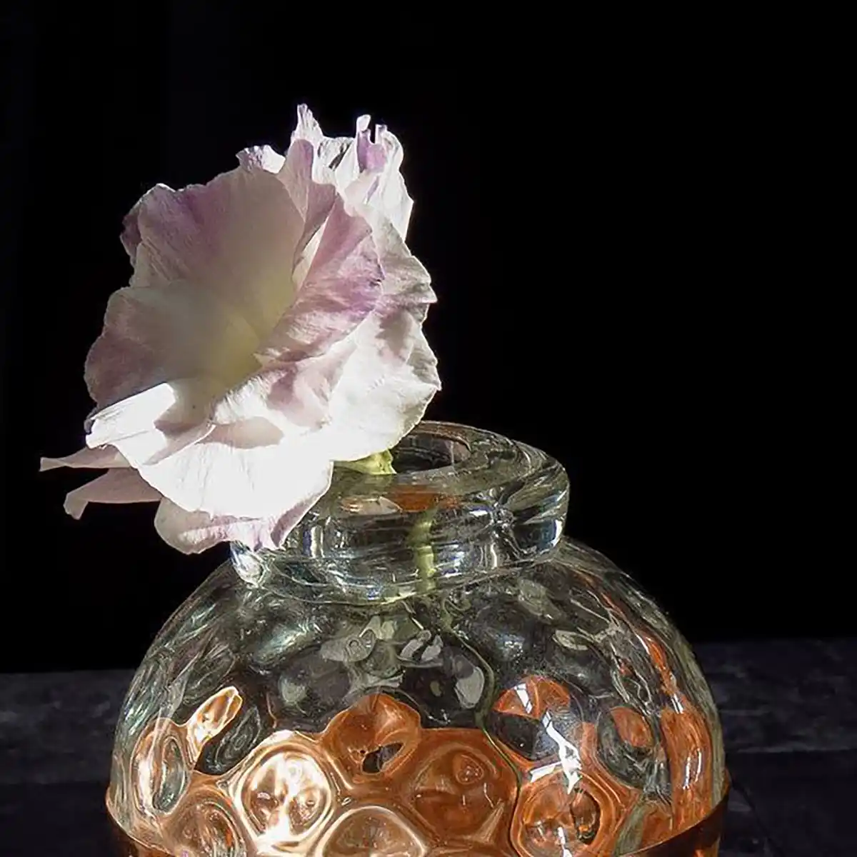مرکز فروش گلدان شیشه ای در تهران
گلدان شیشه ای رومیزی دیجی کالا
گلدان شیشه ای دیجی کالا
گلدان شیشه ای جدید
خرید گلدان شیشه ای ارزان
گلدان شیشه ای استوانه ای دیجی کالا
