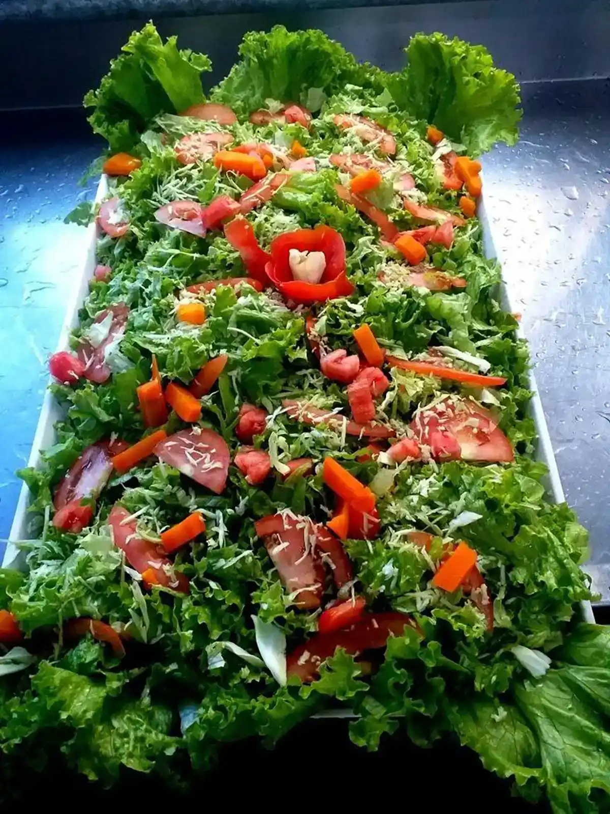 
تزیین سالاد کاهو در ظرف گرد
تزیین سالاد برای مهمانی
تزیین سالاد کاهو در ظرف مستطیل
تزیین سالاد کاهو و خیار و گوجه و هویج
ایده تزیین سالاد
تزیین سالاد کاهو ساده
