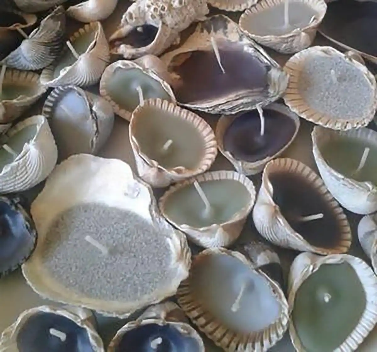 تزیین دستشویی با صدف و گوش ماهی
کاردستی با صدف و چسب حرارتی
کاردستی با صدف آسان
کاردستی با صدف و سنگ
کاردستی با صدف برای کودکان
کاردستی با صدف روی کاغذ

