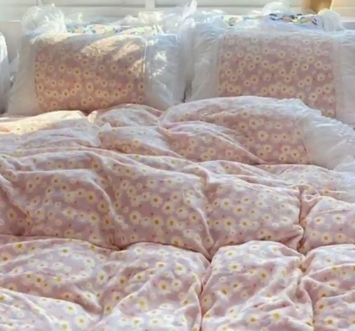 انواع روتختی فانتزی