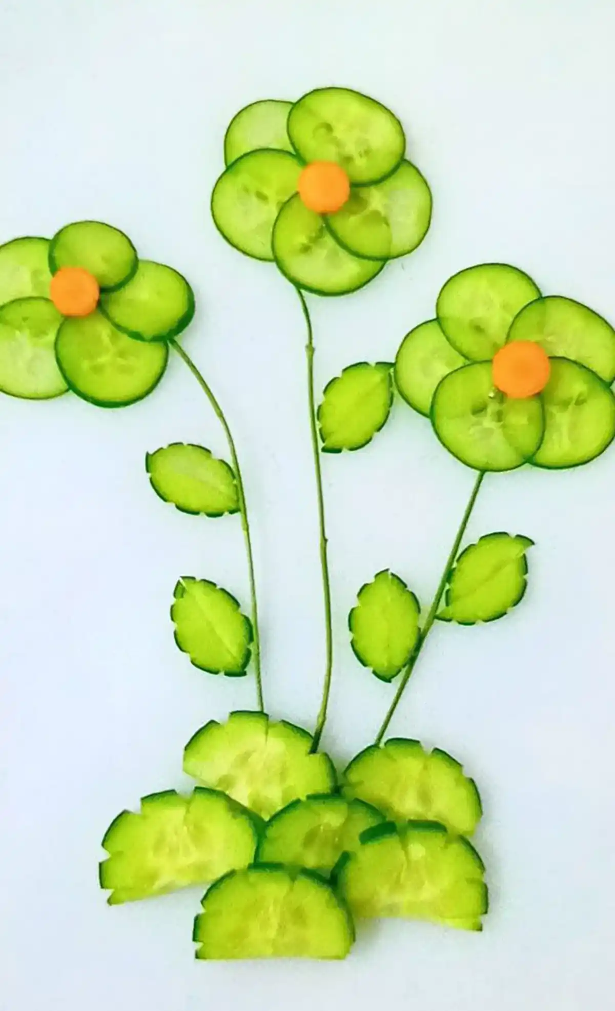 تزیین خیار آسان تزیین خیار برای سالاد کاهو تزیین خیار برای سبد میوه تزیین خیار برای مدرسه برش خیار برای تزیین تزیین خیار و گوجه و پنیر برای صبحانه