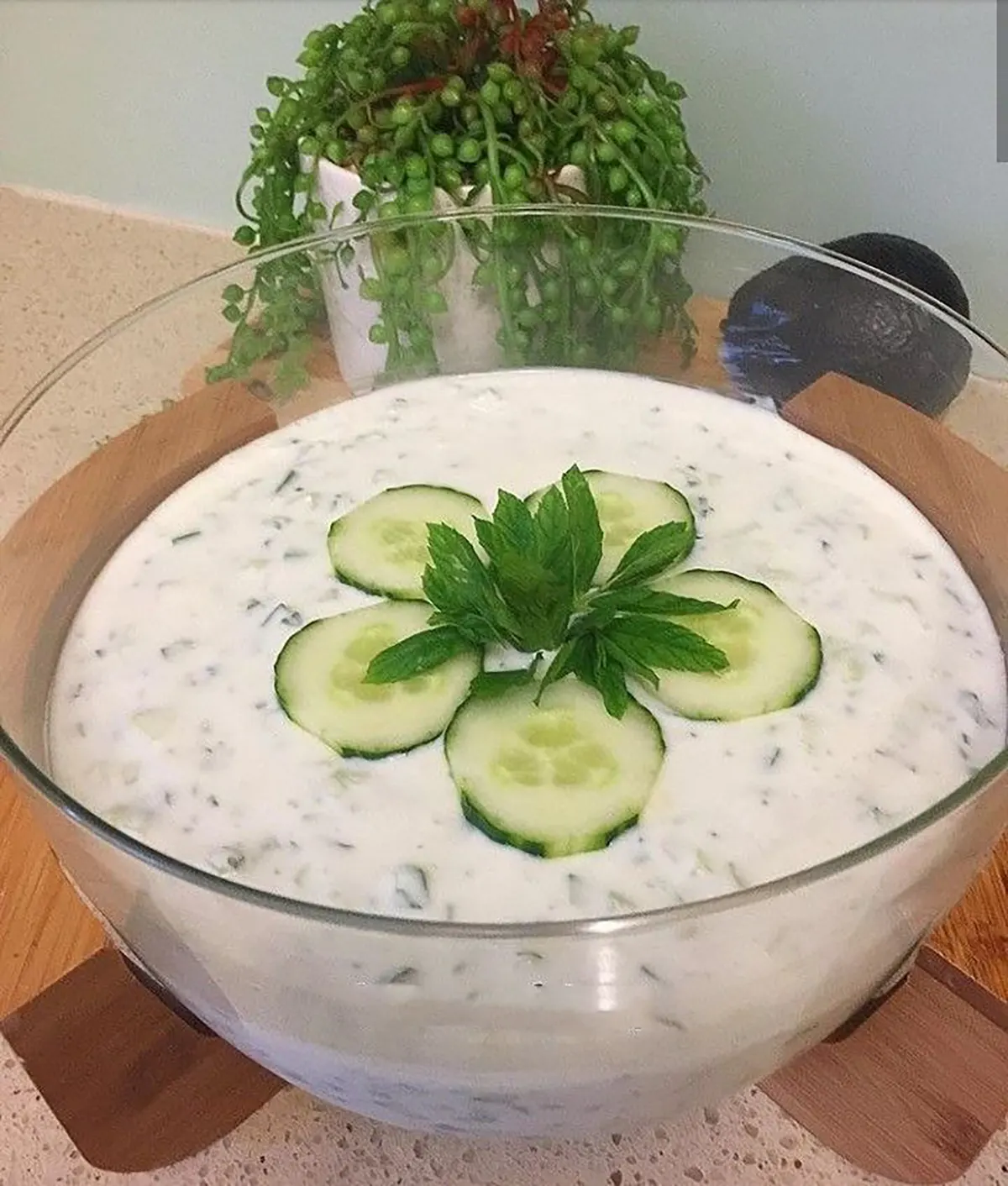 تزیین ماست و خیار ساده و شیک
تزیین ماست و خیار با گل محمدی
تزیین ماست و خیار در اینستاگرام
تزیین ماست و خیار با گردو
تزیین ماست و خیار دو رنگ
