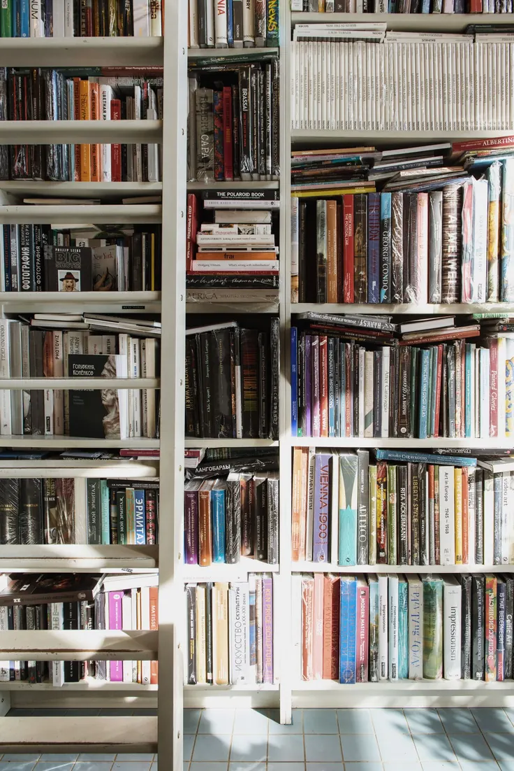 کتابخانه چوبی تمامقد با نردبان کنار دیوار